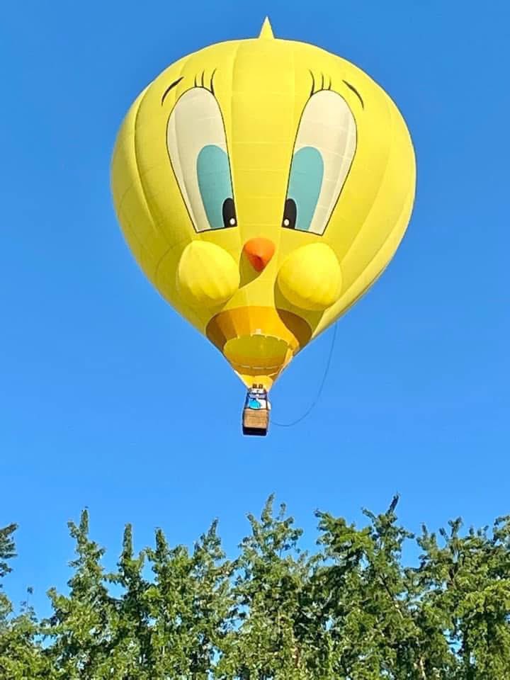 mark_tarello's tweet image. 1 week away from Spiedie Fest & Balloon Rally! This Hot Air Balloon was seen in 2022 over Binghamton, NY. Photo courtesy of Cathy Ann.