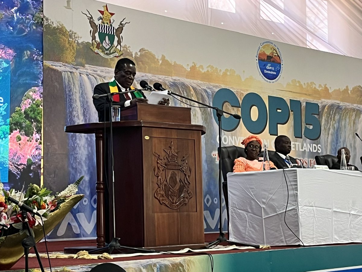 Elizabeth M. Mrema (@mremae) on Twitter photo Honoured to speak on behalf of the <a href="/UN/">United Nations</a> SG & <a href="/UNEP/">UN Environment Programme</a> ED at the opening of #RamsarCOP15 in Victoria Falls.
Wetlands are vital to human health, food security & climate resilience. Let’s protect them; through science, partnerships & action. Together, we can reverse the tide. Honoured to speak on behalf of the <a href="/UN/">United Nations</a> SG & <a href="/UNEP/">UN Environment Programme</a> ED at the opening of #RamsarCOP15 in Victoria Falls.
Wetlands are vital to human health, food security & climate resilience. Let’s protect them; through science, partnerships & action. Together, we can reverse the tide.