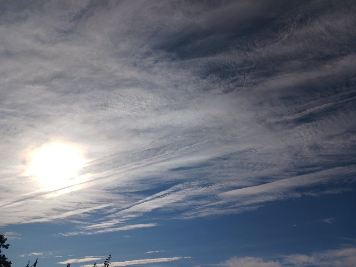 ImagesCoast's tweet image. "This is all chemicals from airplanes."
Airplanes bellowing out chemicals to eliminate humanity on behalf of the satanic deep state.
July 18th 2025 Nova Scotia, Canada #crimesagainsthumanity #chemtrails