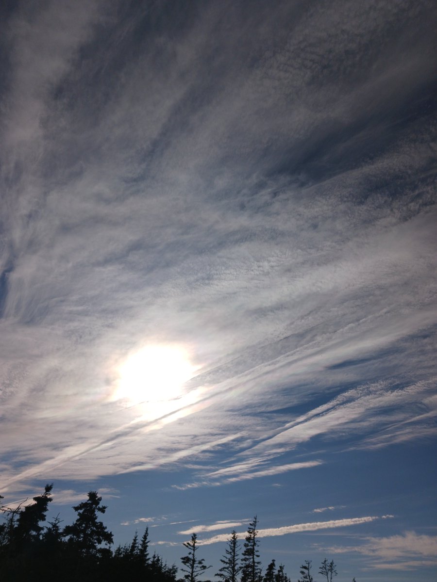 ImagesCoast's tweet image. "This is all chemicals from airplanes."
Airplanes bellowing out chemicals to eliminate humanity on behalf of the satanic deep state.
July 18th 2025 Nova Scotia, Canada #crimesagainsthumanity #chemtrails