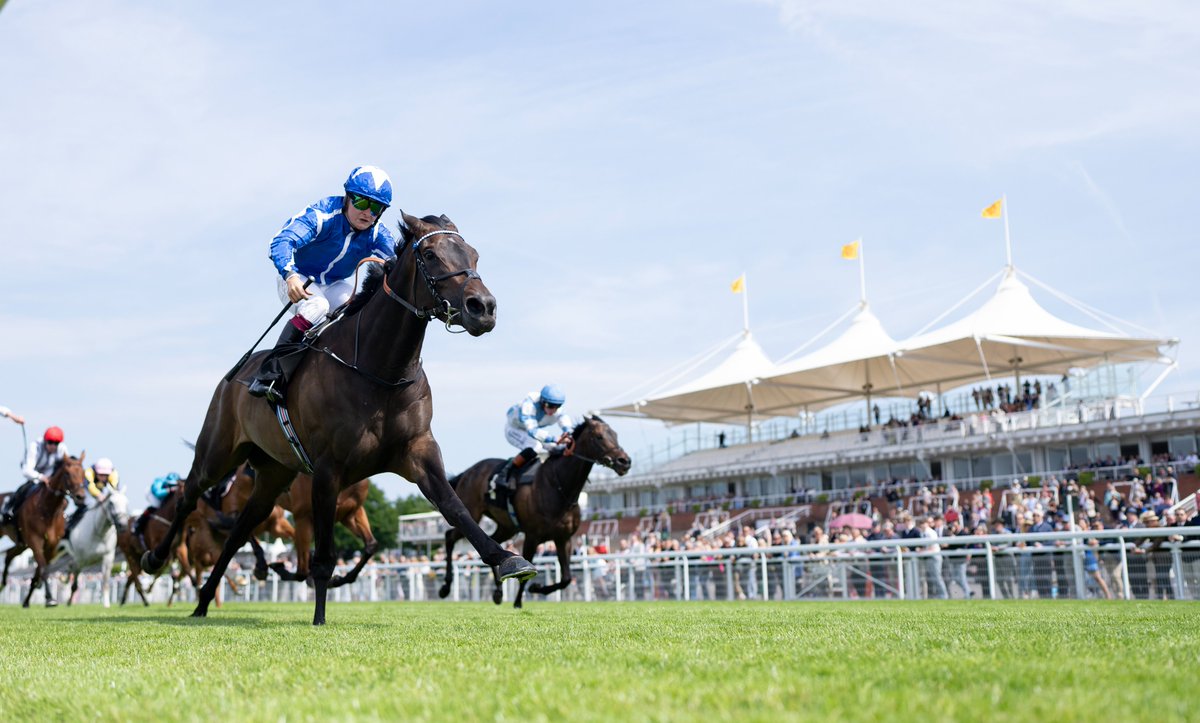 myracingtips's tweet image. 🌟 The countdown to Glorious Goodwood is ON! 😍
5 days of world-class flat racing 🏇💥
💬 What’s your best bet of the week?
🎯 Banker or bold outsider — let’s hear it 👇