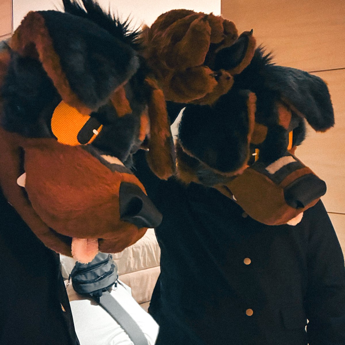 LOBO_Rottie's tweet image. Student dog🐕
I can't believe it's already been a week since UTFG⁉️
#UTFG2025