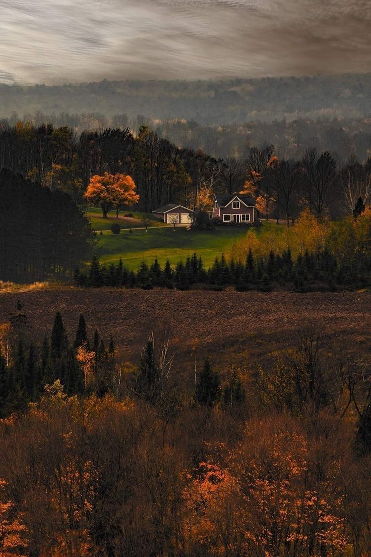 59 more days till autumn