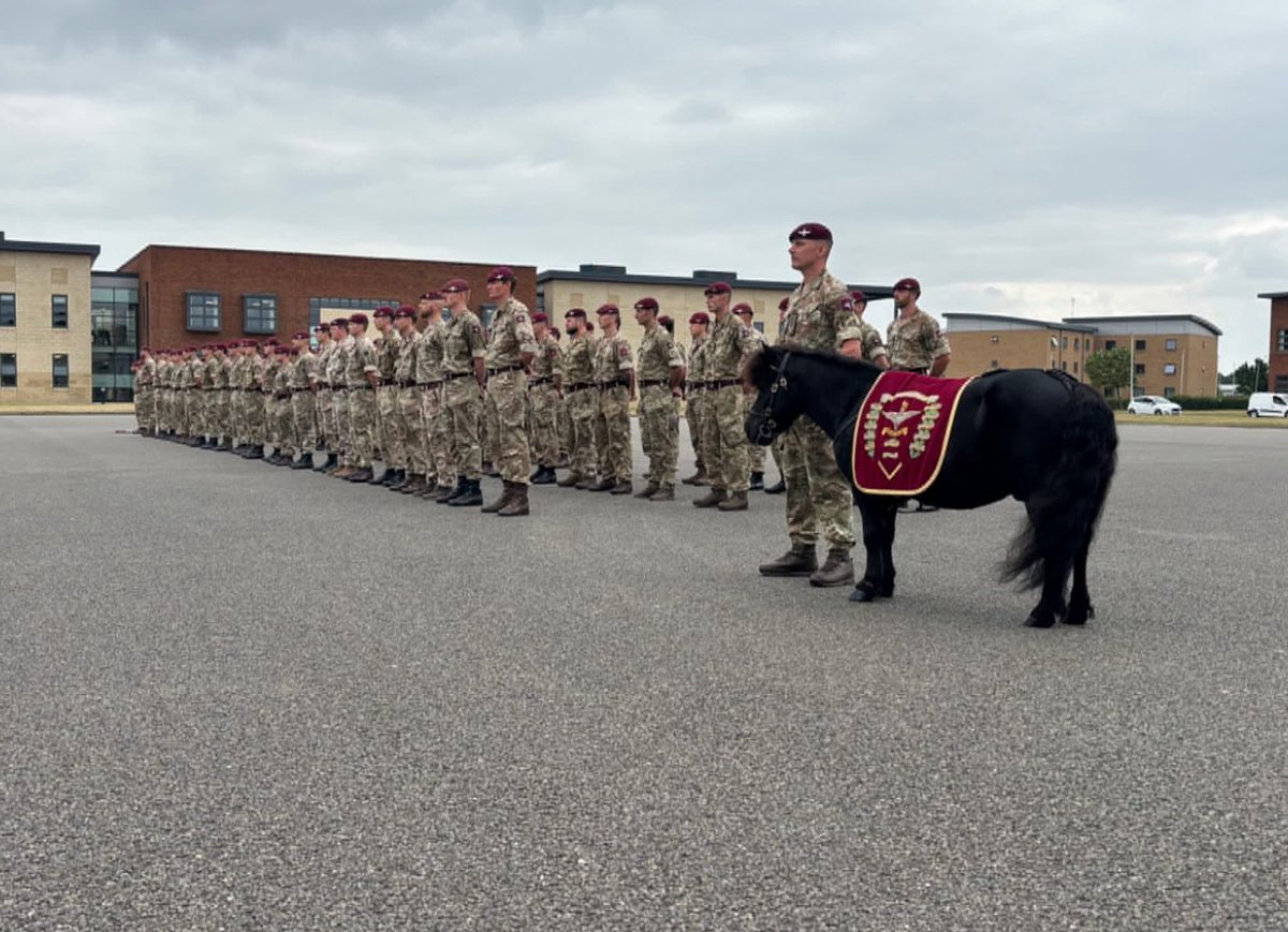 TheParachuteReg's tweet image. The vital national security role played by the #parachuteregiment was evident at a #2para medal ceremony held on the Merville Barracks parade ground in Colchester. Medals presented by Maj Gen Kingsbury, Brig Cartwright and CO 2 PARA.
Ready for anything 🇬🇧🆎
@BritishArmy
