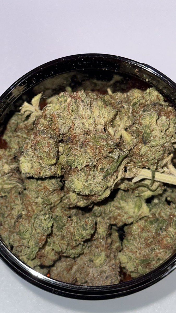 Shanez1337's tweet photo. Zkittlez Kushmints ❄️ https://t.co/rOH7JkQ1gL