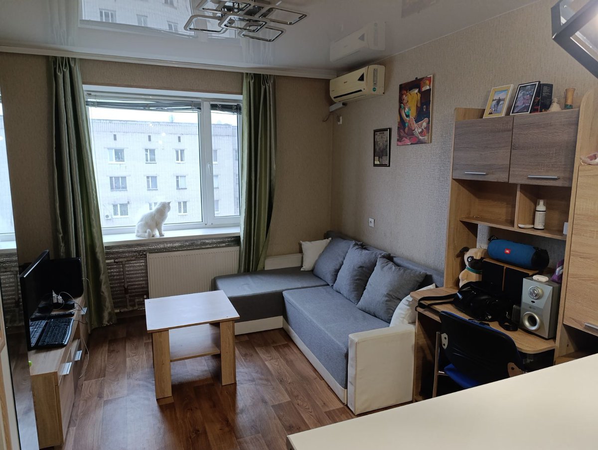 olxpets's tweet image. 