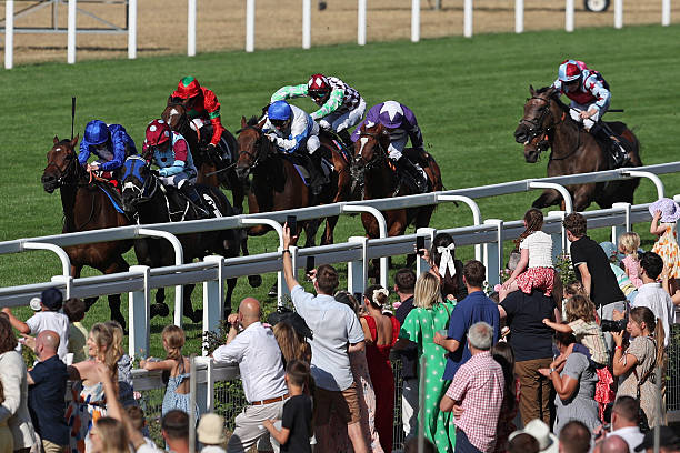 talkSPORT2's tweet image. π¨NOW: Racing Live π
ποΈJoin @RadioEmmet and @paddyaspell
π Three live races from Ascot
πNew Proposal by incoming BHA Chair Lord Allens
πPreview of the weekend's racing!
Listen Hereπ
π»talkSPORT.com/play/talkSPORT2