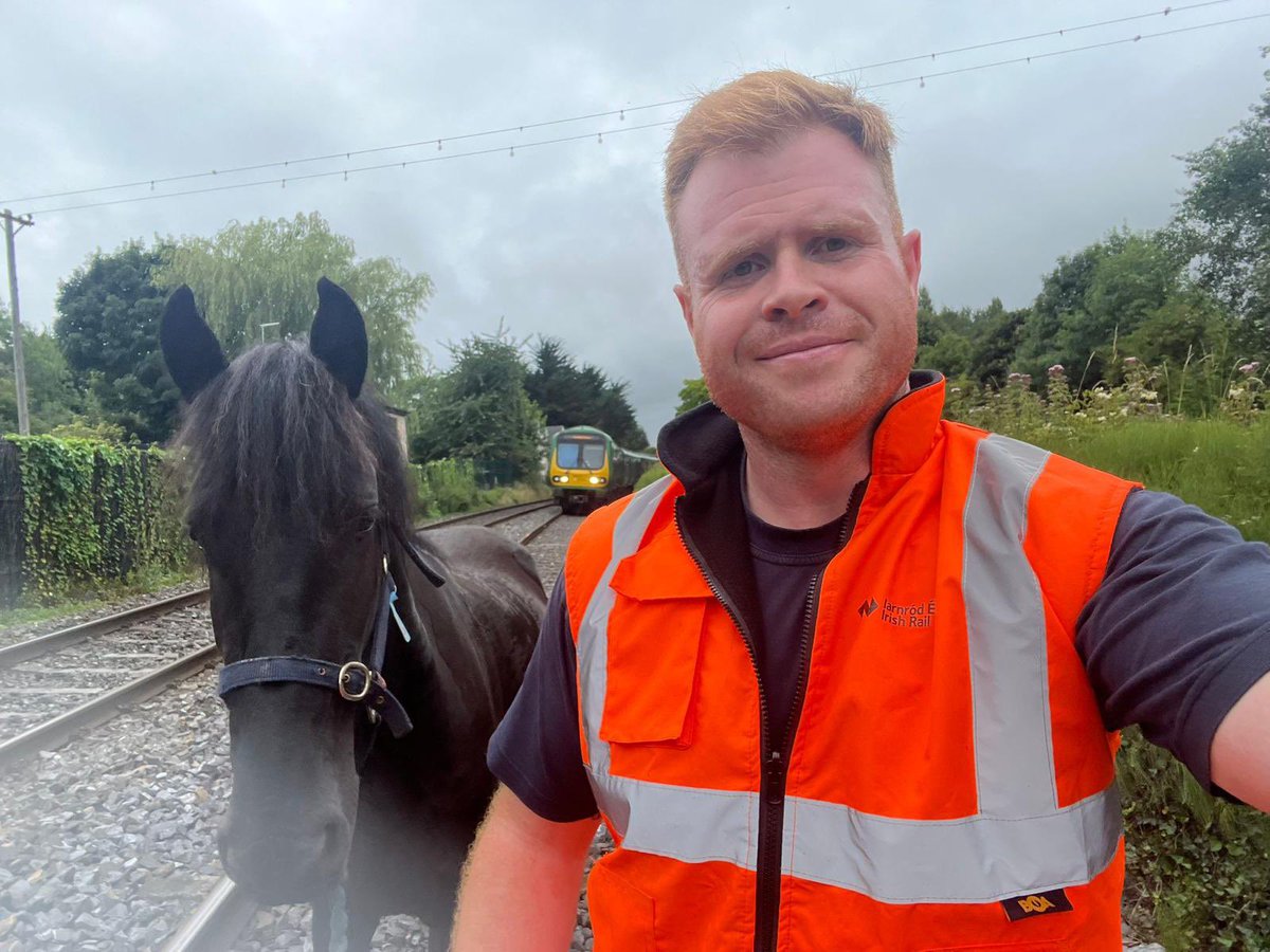 IrishRail's tweet image. All in a day’s work for our great Infrastructure teams 🐂🐎
Bulling to get to work at Hansfield but staying behind the yellow line, and Nigel is a horse of a man helping another stray from the line near Leixlip.
Men and beasts safe and well. 🦺👍 Apologies for resulting delays.