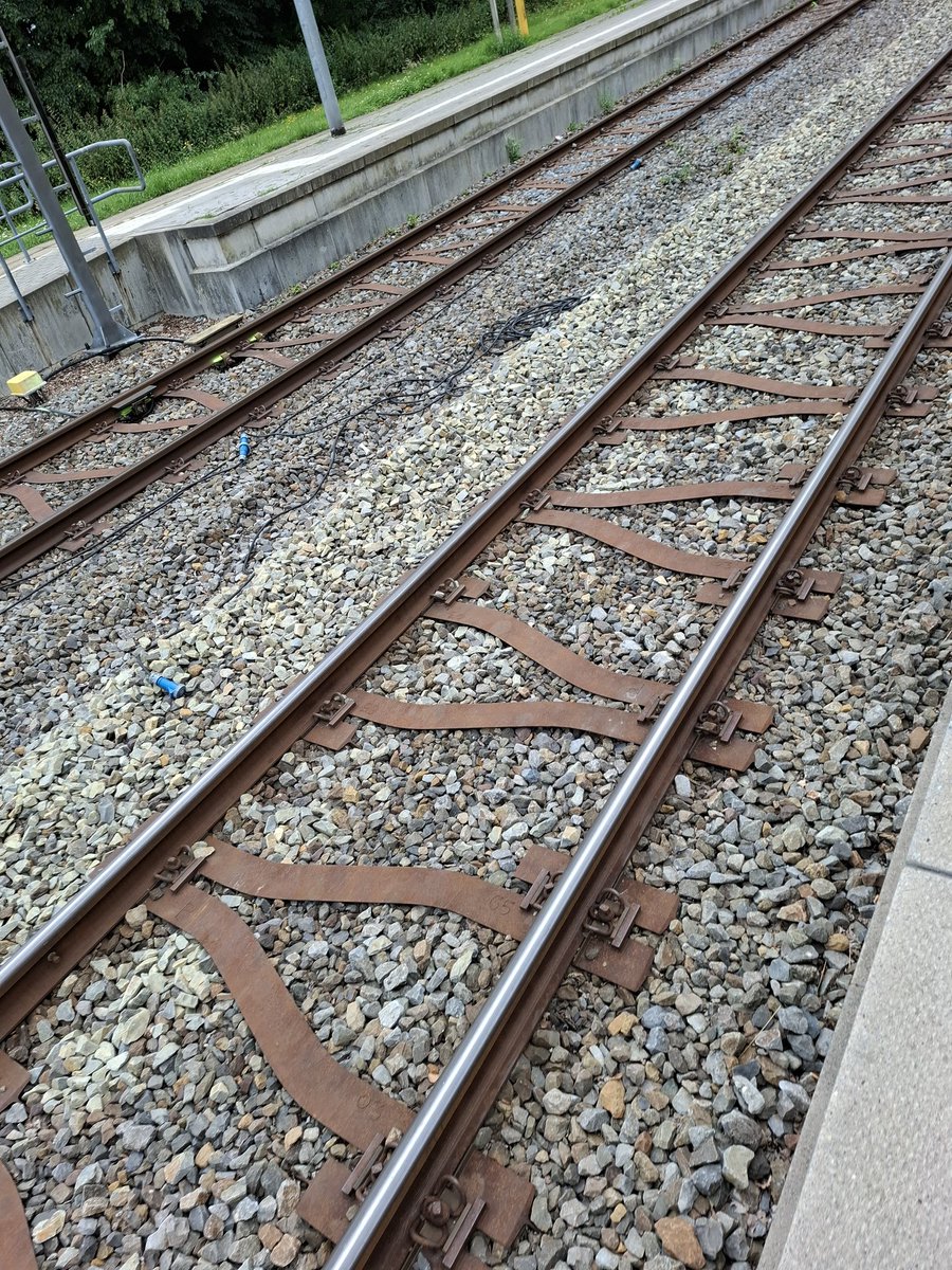 Swin_bruecks's tweet image. Hier im Gleisbett schlafen legen (checkt ihr?)