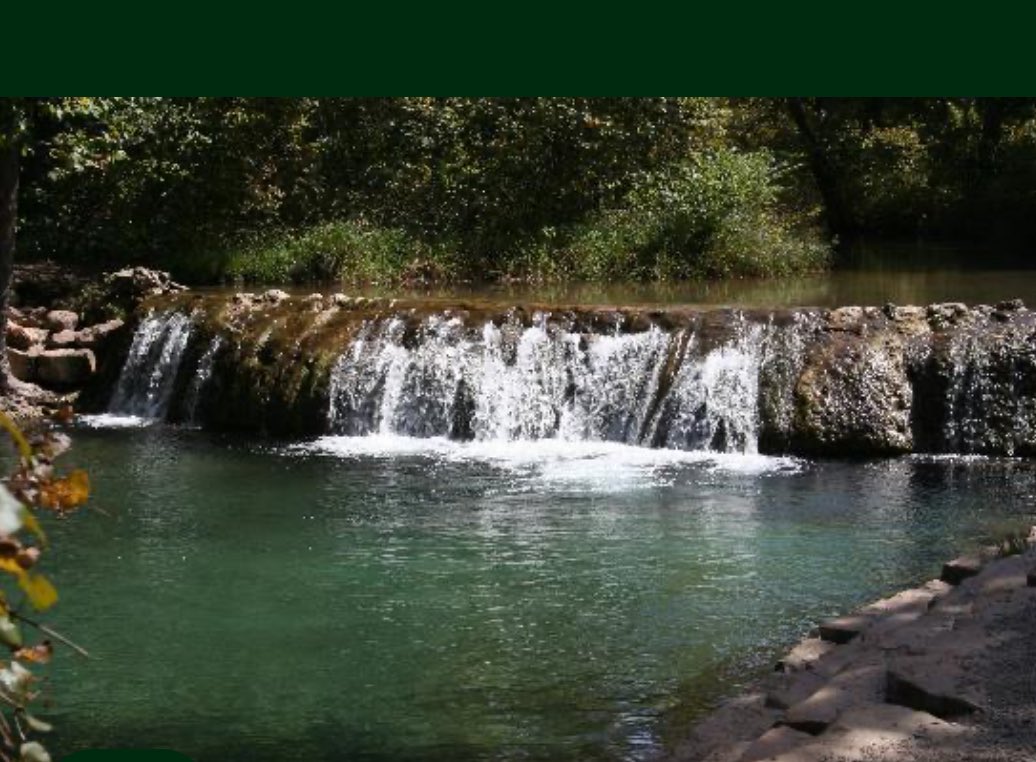 NHS_TF_XC's tweet image. 80 strong as we head down for our annual Little Niagara Long Run trip