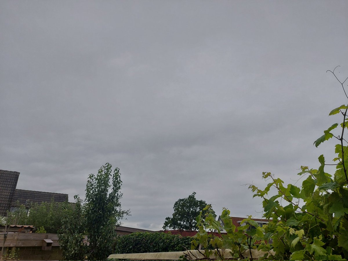 MarjoVrij's tweet image. Zon zou er moeten zijn, maar de hele dag nog niet gezien. 😓🤔