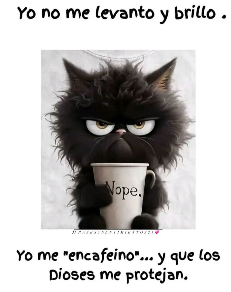 Gavil0224's tweet image. Con el permiso de la distinguida concurrencia.