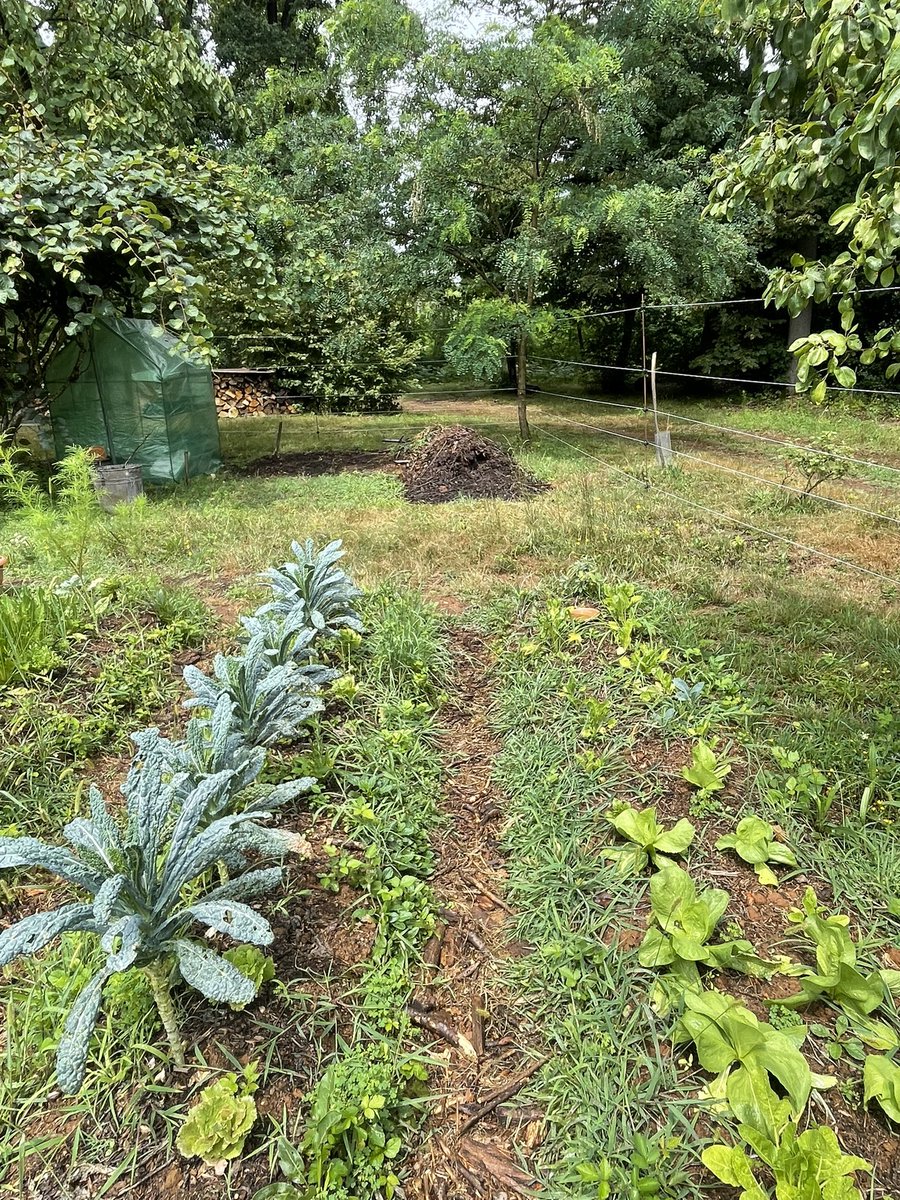 Earthbasedsoul's tweet photo. My happy place 🌱
#solarpunkhub
#microclimatefarm https://t.co/dXDie6gbJM