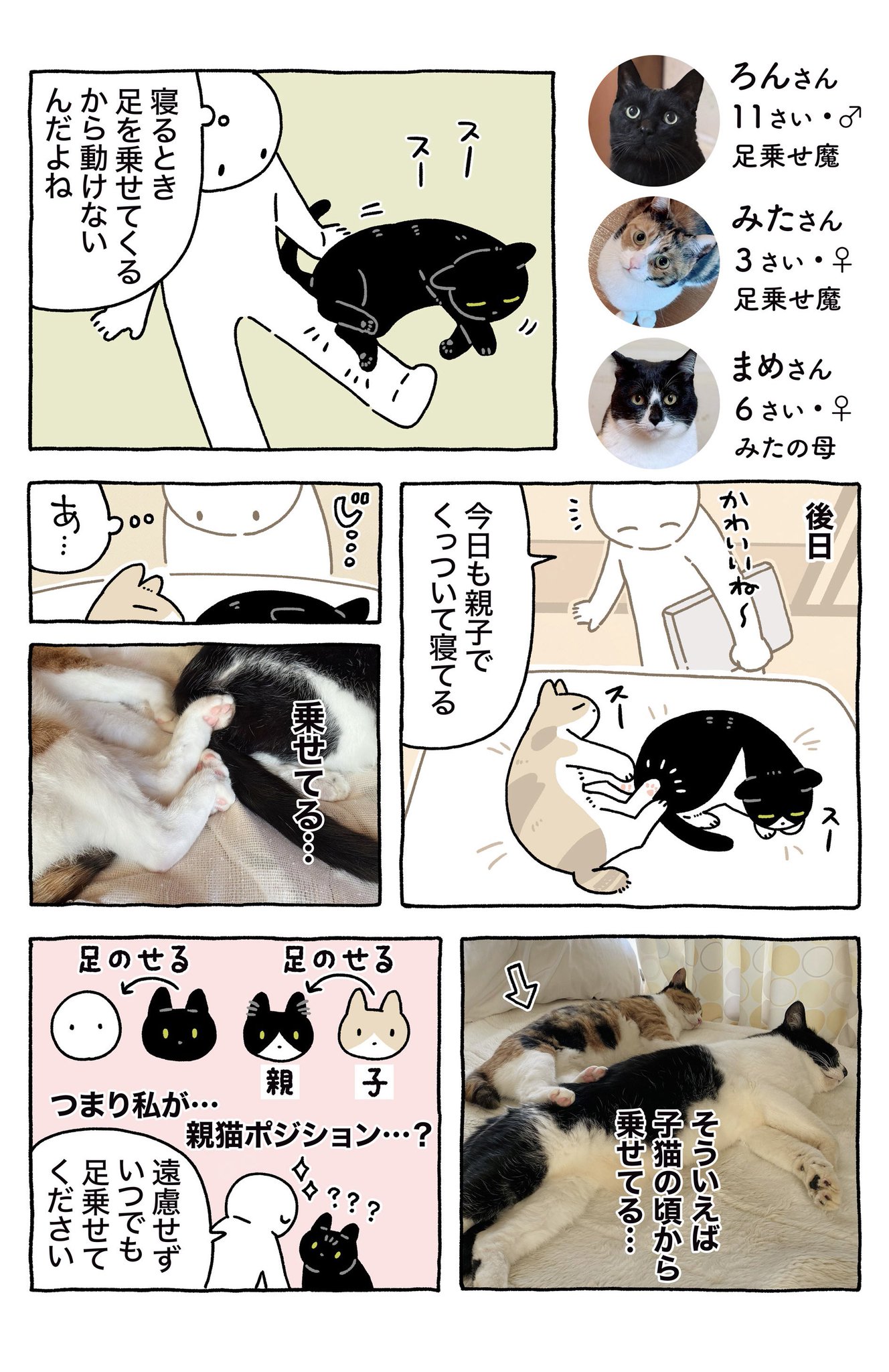 猫はかっておりません AKR｜7巻でたよ on X: 