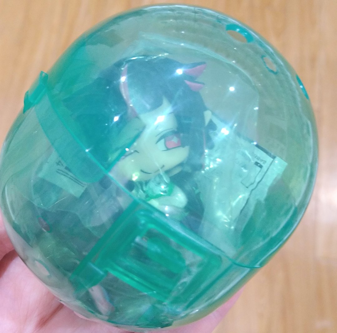 clover1025181's tweet image. やっと見つけた！
