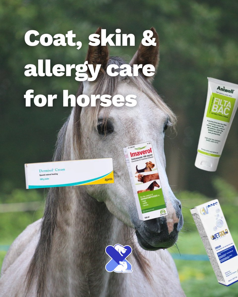 Coat, skin &amp; allergy care for horses 🐴

🧴 Dermisol
🧴 Imaverol
🧴 FiltaBac
🧴 Vetgold

Vet-approved help for irritation, wounds &amp; allergies.

#HorseCare #UKPetDrugs #EquineHealth #HorseSkinCare
