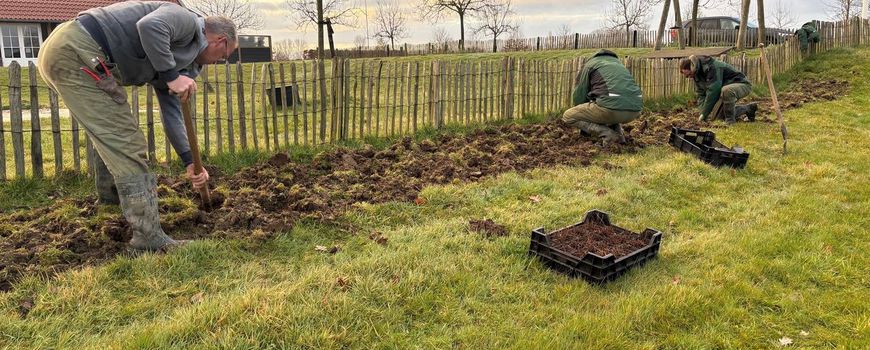 2,5 miljoen euro voor biodiversiteit in Gelderse steden, dorpen en platteland: Vanaf 1 oktober is het weer mogelijk om subsidie voor biodiversiteit en landschap aan te vragen bij provincie Gelderland. Met deze subsidie kunnen gemeenten en bos- en… dlvr.it/TM6Kcr
