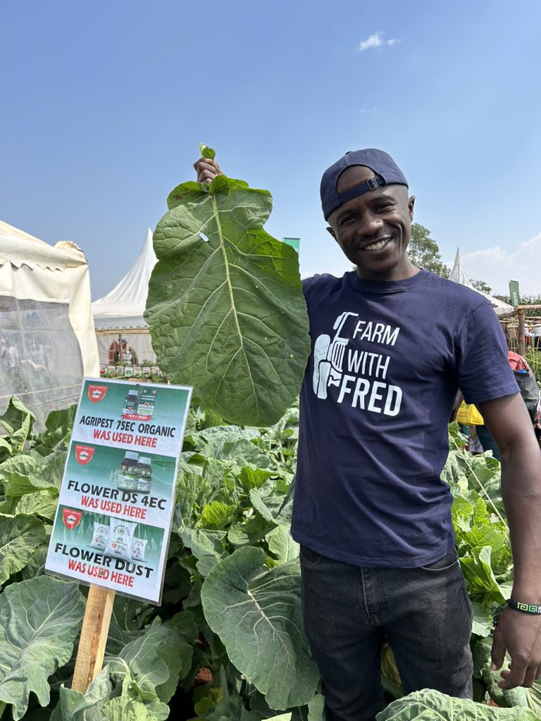 Fredmunene_'s tweet image. Safety is the bottom line.
This farm is protected from destructive pests like aphids, thrips, and caterpillars.
The farmer is safe no exposure to harmful chemicals.
The consumer gets safe, healthy food on their plate.
All thanks to AGRIPEST 75EC ORGANIC from KAPI Limited KENYA…