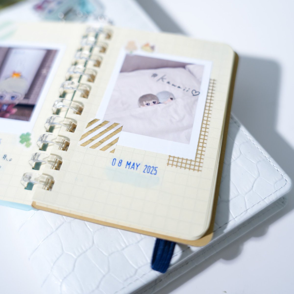 micos_journal's tweet image. ロルバーンミニにぬいの写真だけをログとして集めてるんだけど、うちの子ミニアルバム的で眺めて楽しい