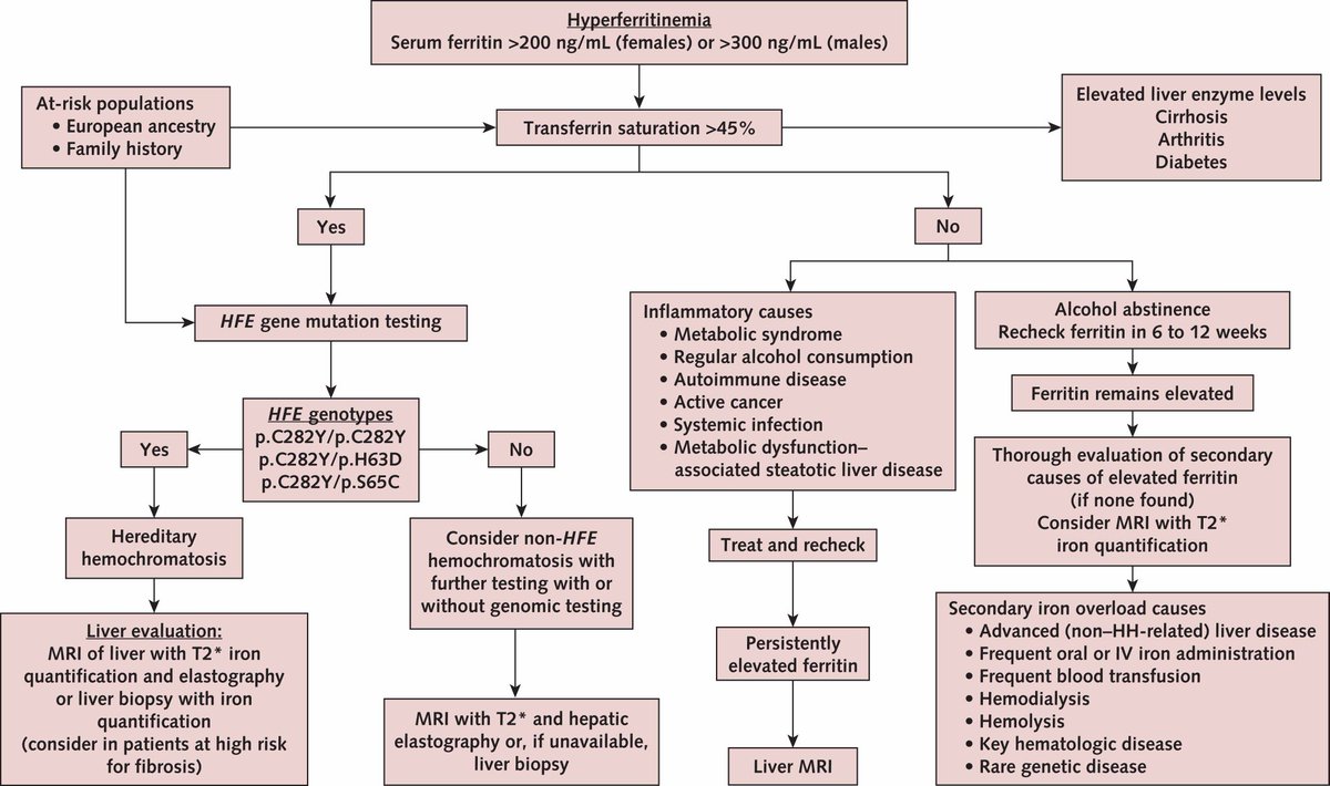 📌 Approach to Hyperferritinemia
🧪 #Ferritin &gt;200 ng/mL (♀) or &gt;300 ng/mL (♂)?
🔍 Check transferrin saturation
➡️ &gt;45% ➡️ HFE testing for 🧬 #hemochromatosis
➡️ ≤45% ➡️ Rule out:
🔥 Inflammation
🍷 Alcohol
🩸 Hematologic &amp; liver diseases
🧲 MRI T2* if unclear

#Hematology