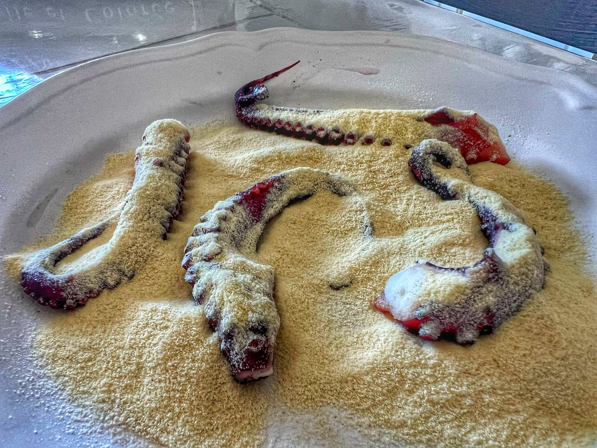 insopportabile's tweet image. Tentacolo di polpo bollito, insemolato e fritto su gazpacho e pane tostato, altro tentacolo su crema di patate al vapore con olio, aglio e prezzemolo a crudo, insalata di polpo bollito con patate olio, aglio, prezzemolo e aceto.
“Ho scritto polpo sulla semola”, feat #santamoglie.