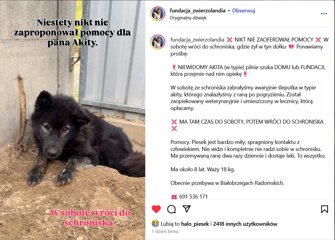 Pilne! Szukamy domu lub fundacji. Trzeba pomóc niewidomemu staruszkowi.