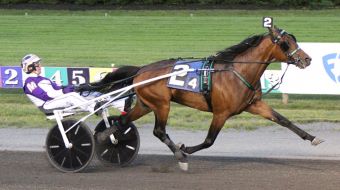 USTrotting's tweet image. Harris aims for Hambo with Monserrate, Grande Via
Hightstown, NJ – Monserrate will bring a streak of eight consecutive top-three finishes to his Hambletonian Stakes elimination Saturday at The Meadowlands, where another on-the-board result will guarantee the colt a spot in the…