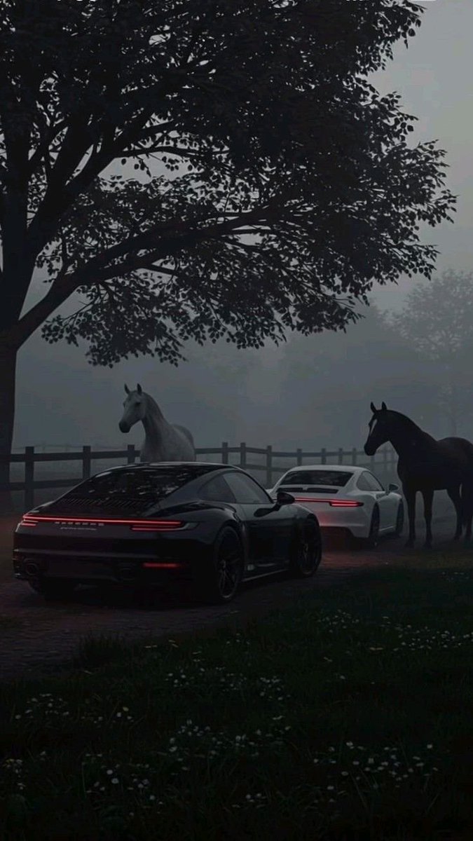 Gmen_Aesthetics's tweet image. No Risk, No Porsche