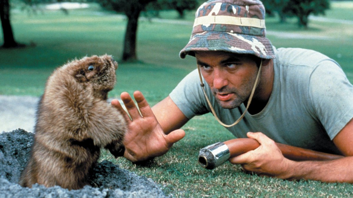 landofthe80s's tweet image. "Caddyshack" debuted at theatres today in 1980. The comedy features Chevy Chase, Rodney Dangerfield, Ted Knight, and Bill Murray. #80s