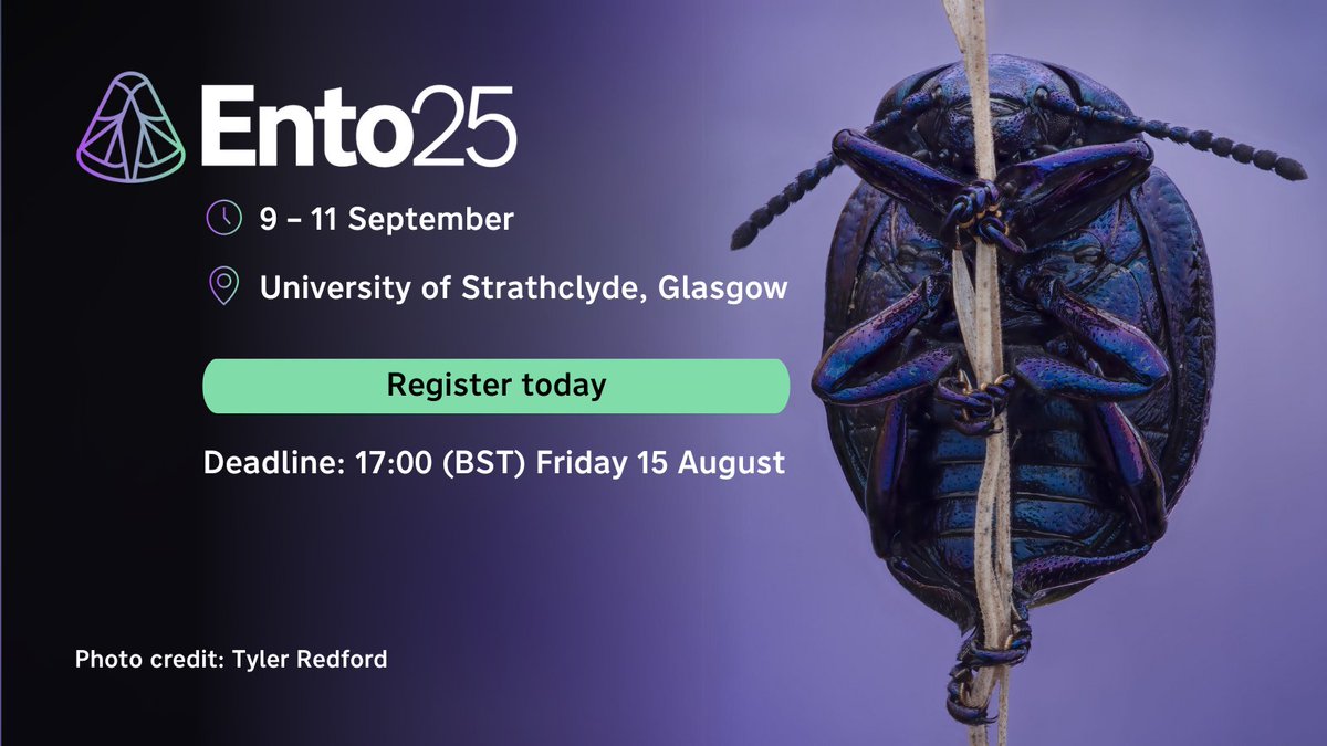 RoyEntSoc's tweet image. Join 300+ entomologists at #Ento25 in Glasgow this September by booking before the registration deadline: 17:00 (BST), 15 August 🔽
royensoc.co.uk/event/ento25
#StrathLife @UniStrathclyde @UniStrathNews #InsectDecline #ClimateChange #ClimateResistance #FoodScarcity #PhD #STEM