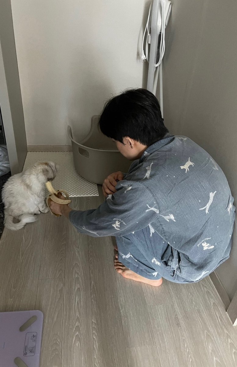 mangsubey's tweet photo. 원숭빈 제가 키울래요!!!!!!!!!!!!!! https://t.co/peXh0O70Oc
