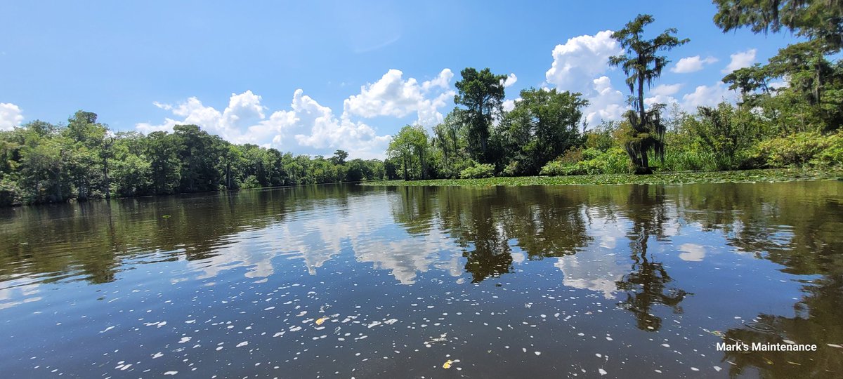 World Famous LSU Fanbulance! (@marksmaint) on Twitter photo  World Famous LSU Fanbulance! (@marksmaint) on Twitter photo