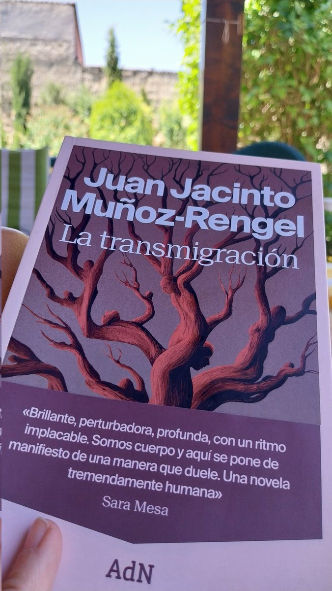 𝘓𝘦𝘰𝘯𝘰𝘳 #dolorcronico, #apoyomutuo 📚🫂 (@leo_veritas) on Twitter photo El Tiempo está del revés y como yo le acompaño, el mejor plan es dedicarme a mi entretenimiento favorito📚. Con la última novela del maestro de #escueladeimaginadores <a href="/jjmunozrengel/">J.J. Muñoz-Rengel</a>. Felicidades ❤️ El Tiempo está del revés y como yo le acompaño, el mejor plan es dedicarme a mi entretenimiento favorito📚. Con la última novela del maestro de #escueladeimaginadores <a href="/jjmunozrengel/">J.J. Muñoz-Rengel</a>. Felicidades ❤️
