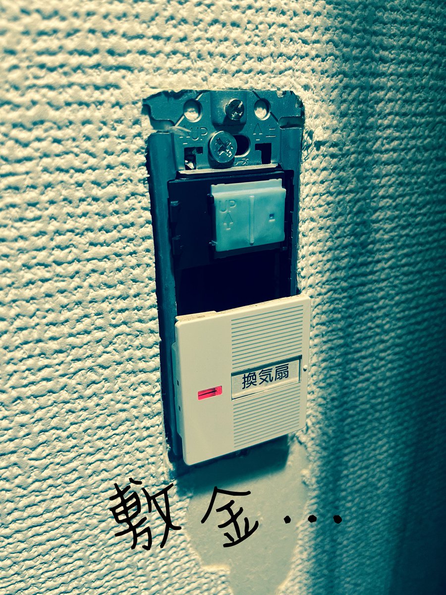rushirushi_2001's tweet photo. 🐈に破壊されてて今コレ。 https://t.co/ViUupRupqs