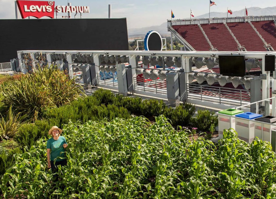 Kennylew28's tweet image. Fun fact: The @49ers Have A Farm on Top of The Stadium ? 🤔 #FTTB