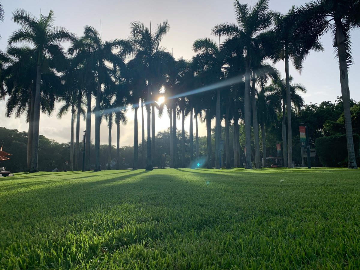 EvoDevoPanAm's tweet image. It’s final day of #PASEDB2025!

Postdoc session, evolutionary novelty talks, award lectures are waiting!! @univmiami ⭐️🌴

#miamimorning #lastday