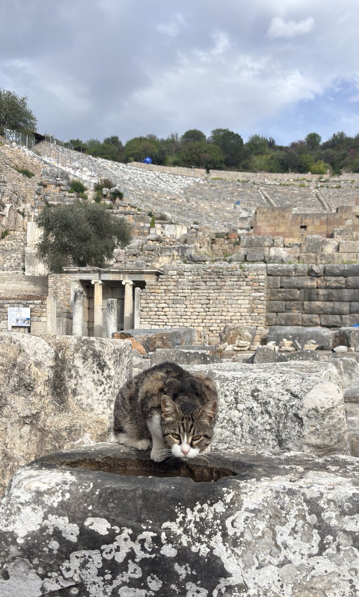 Rahul (@o_rahul18) on Twitter photo 