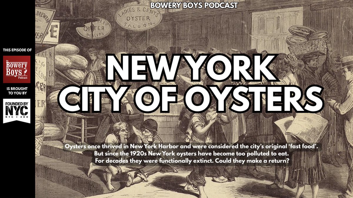 In the new Bowery Boys Podcast: New York was once the City of Oysters, the city's original fast food. Could they be making a comeback? This episode also features the Billion Oyster Project, recorded on Governors Island. Listen today:  bit.ly/418HkU5