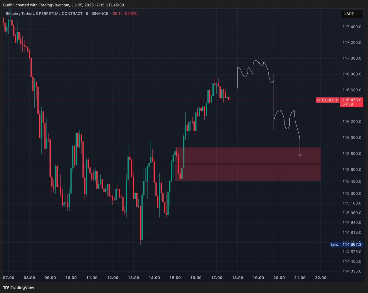 BudhilVyas's tweet image. expecting something like this on $BTC lower timeframes 👀
then
if we hold this red box, we pump again to liquidate some