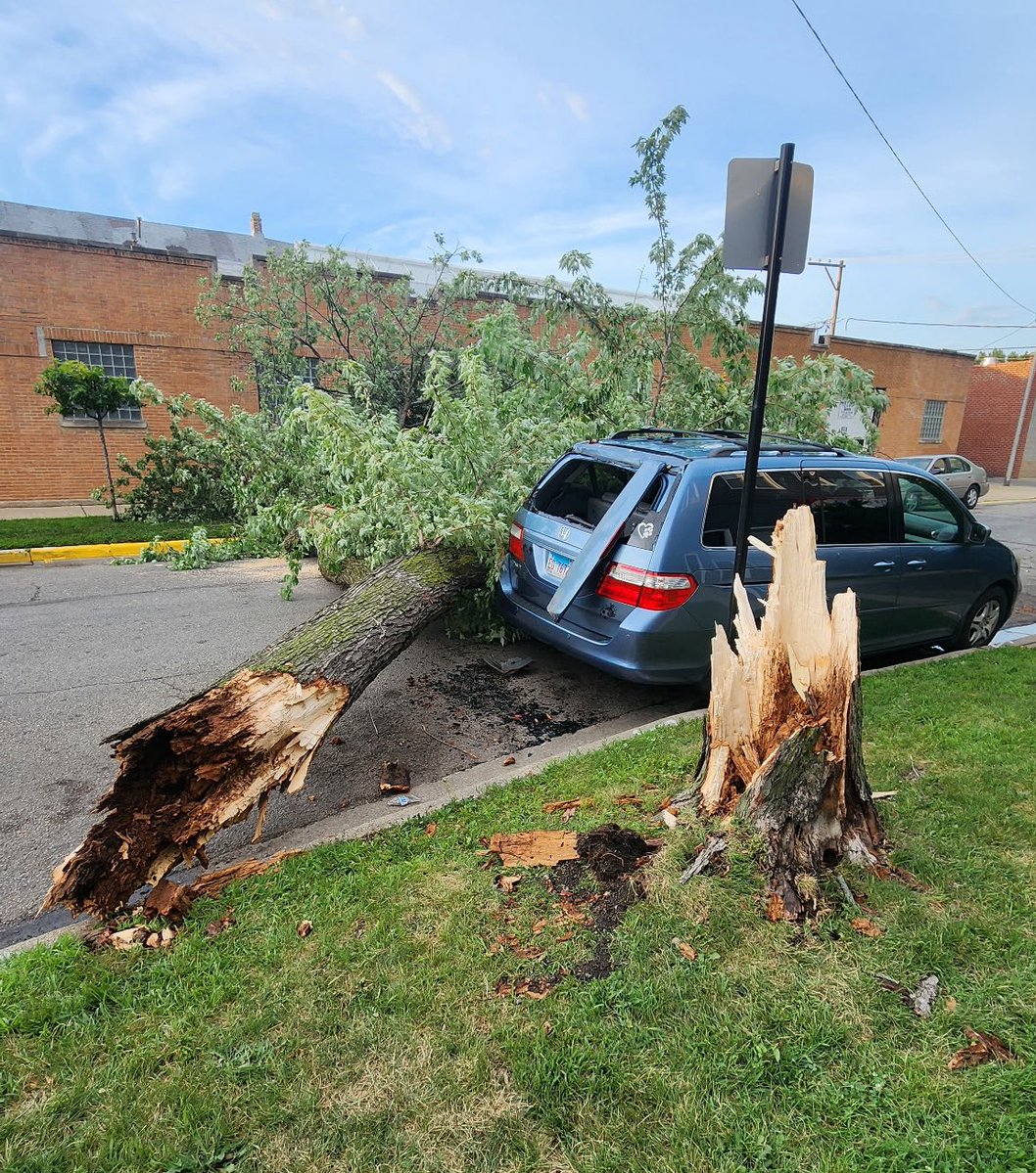 RaymondALopez's tweet image. Attention 15th Ward Residents
Please report any tree emergency immediately to my office at 773-823-1539 or at the15thward.org so we can address them immediately!