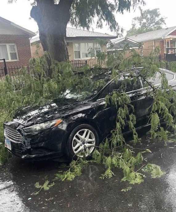RaymondALopez's tweet image. Attention 15th Ward Residents
Please report any tree emergency immediately to my office at 773-823-1539 or at the15thward.org so we can address them immediately!
