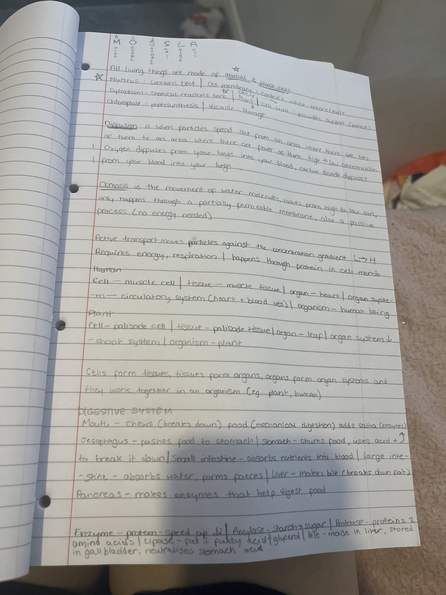 bowpalette's tweet image. uhm im doing science shit. YES ITS BASIC SHIT BUT I HAVENT TAKEN SCHOOL SERIOUSLY SINCE THE START OF YEAR 8 okay :) support me