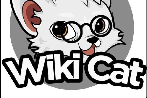 patrick02270057's tweet image. Dear #WKC fam, they just want to buy low, don&apos;t tempee with your bag. We will emerge out victorious. I stand with @wikicatcoin I support @sirmapy