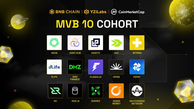MVB 시즌 10 코호트 프로젝트 on BNB 체인