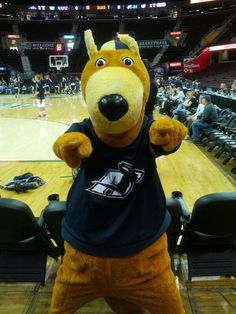 SKIPdaZIP's tweet image. Once upon a time, John Buchtel got one of his wagon wheels stuck in a pile of horse dung. The locals called that pile of horse dung "Kent State", and nobody lived happily ever after. The end.
#LetsGoZips #FearTheRoo