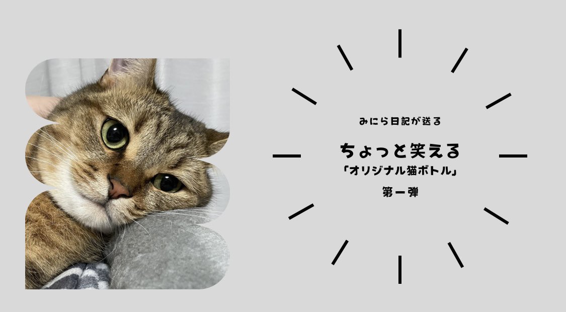 MiniraDiary's tweet image. 【ご連絡】
みにら工房プロジェクトにご参加いただいた方々へ
リターン品配送の開始に伴いまして、必要情報のご提出をお願い致します🙇
※期限内に必要情報をご連絡いただけない場合にはリターン品をお届け出来ない場合がございますので、お早めのご対応をよろしくお願い致します🤲…