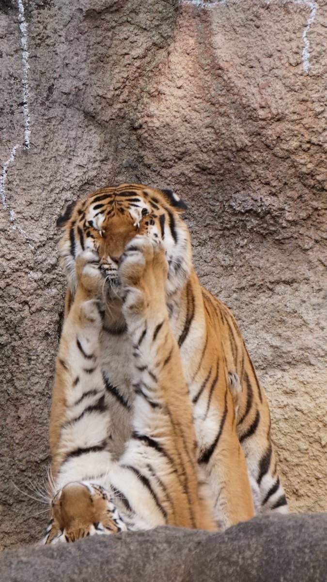 多分この写真

 #これでフォロワーさんが増えました