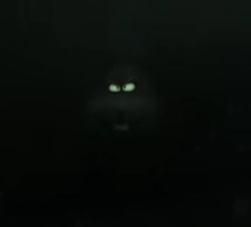 RONAN94898182's tweet image. More buffed marmalade that i saw in youtube. The bad guys 2 trailer
#TheBadGuys2
#thebadguys
@boolinboolin
@dailymrwolftbg
@TBG2Countdown