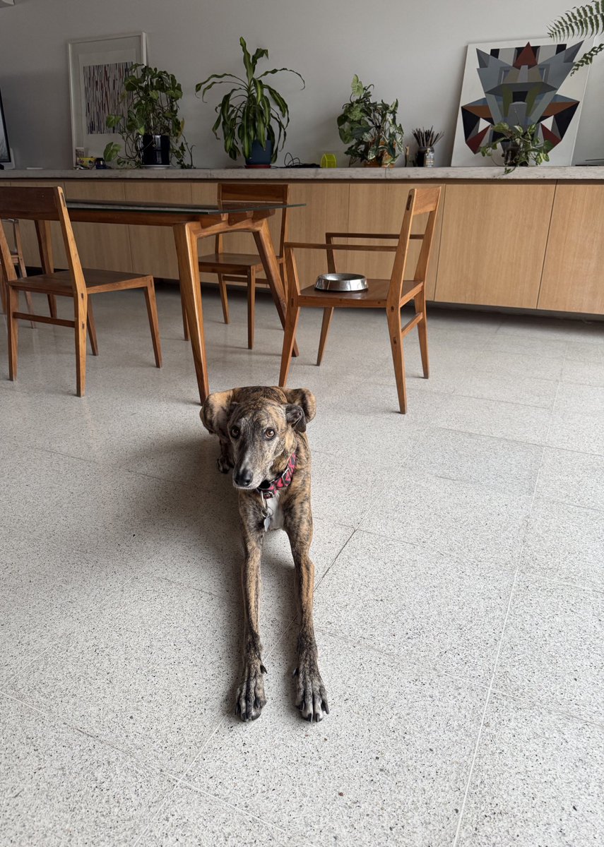 Buen día que sea un buen viernes 🧡