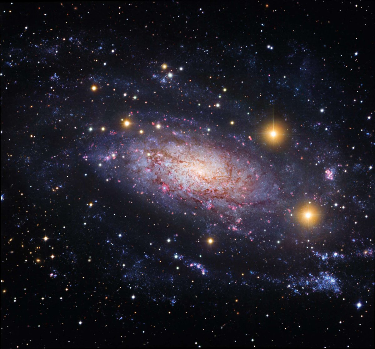 Esta bonita galaxia espiral es NGC 3621, a 22 millones de años-luz. Está en la dirección de la constelación de Hidra y destaca por que sus estrellas más brillantes se han usado para medir distancias y así, naturalmente, comprender la escala del Universo. Crédito: R. Gendler/R.